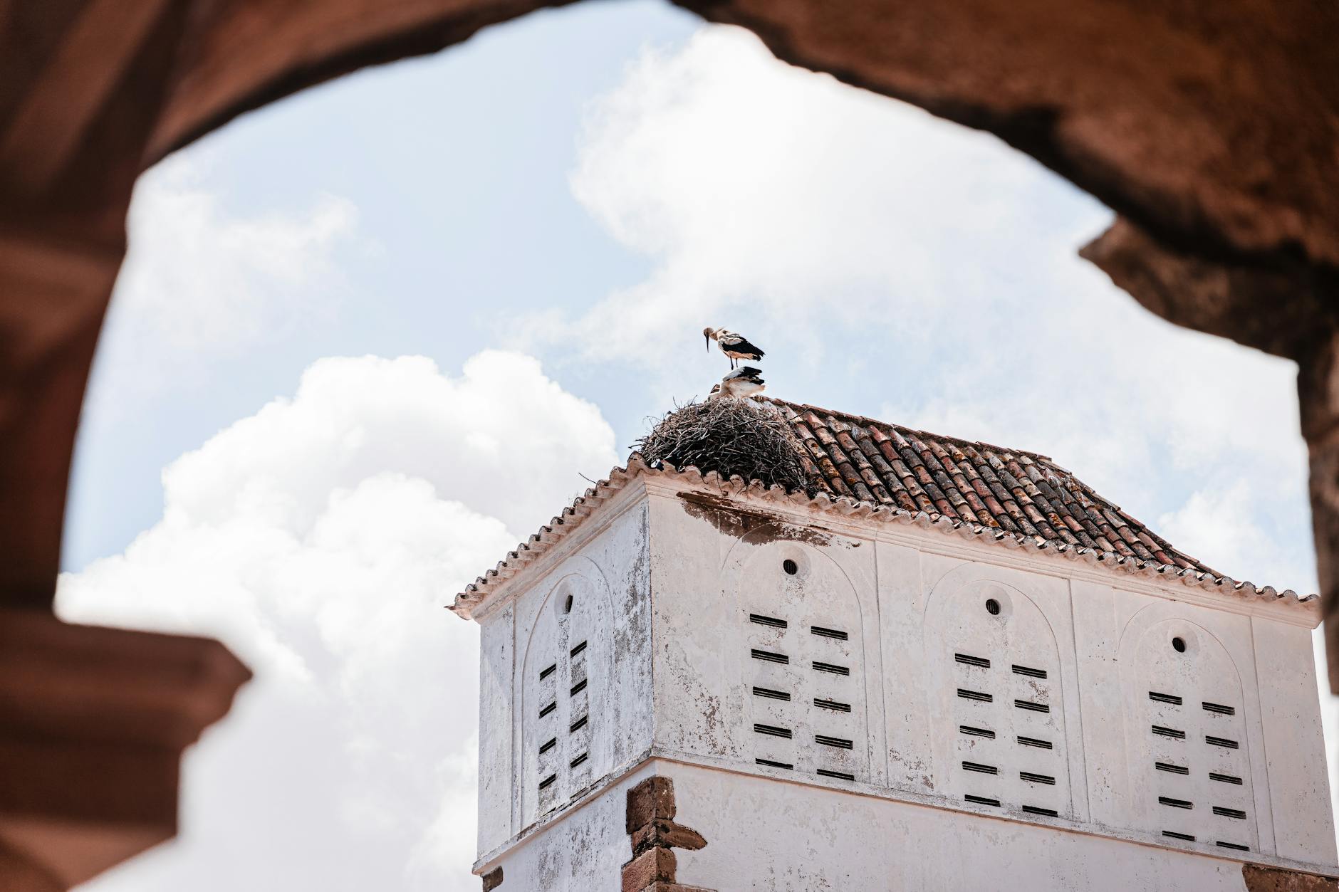 Stork resting on a rooftop nest in Faro, Portugal, framed by an archway.
