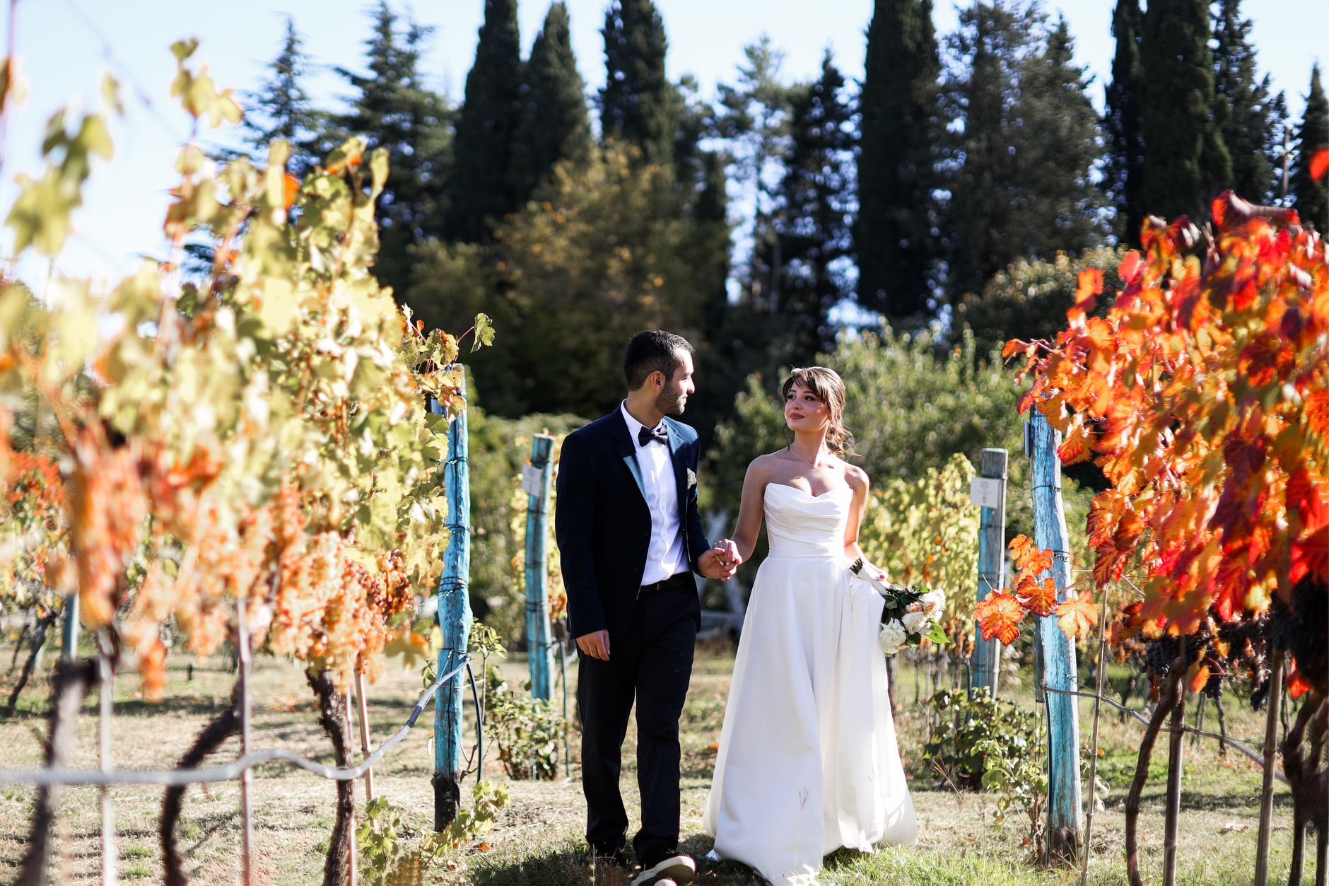 Bride and groom walking through sunlit vineyard during autumn wedding.