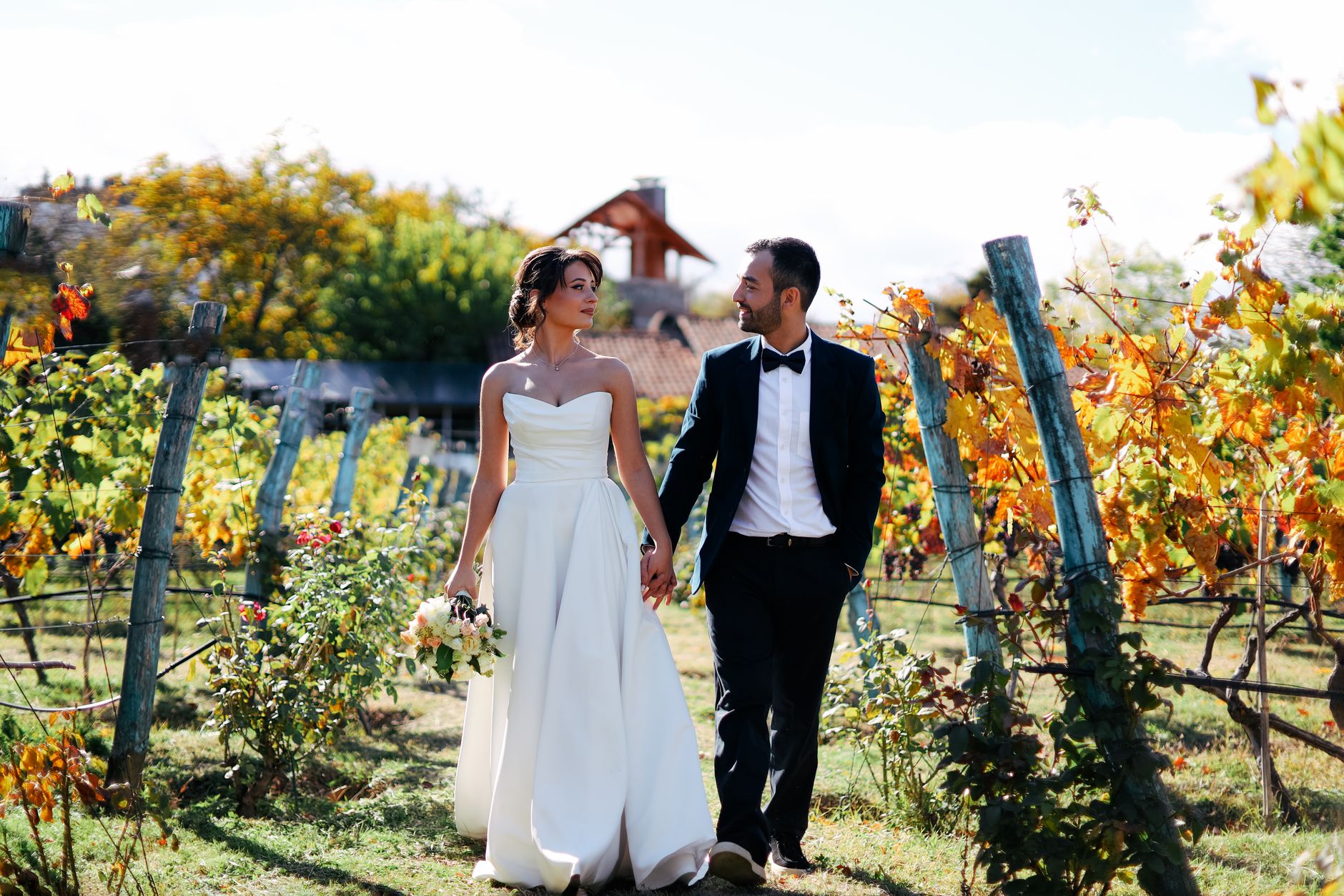 Bride and groom walking hand in hand through a vineyard during a sunny fall day.