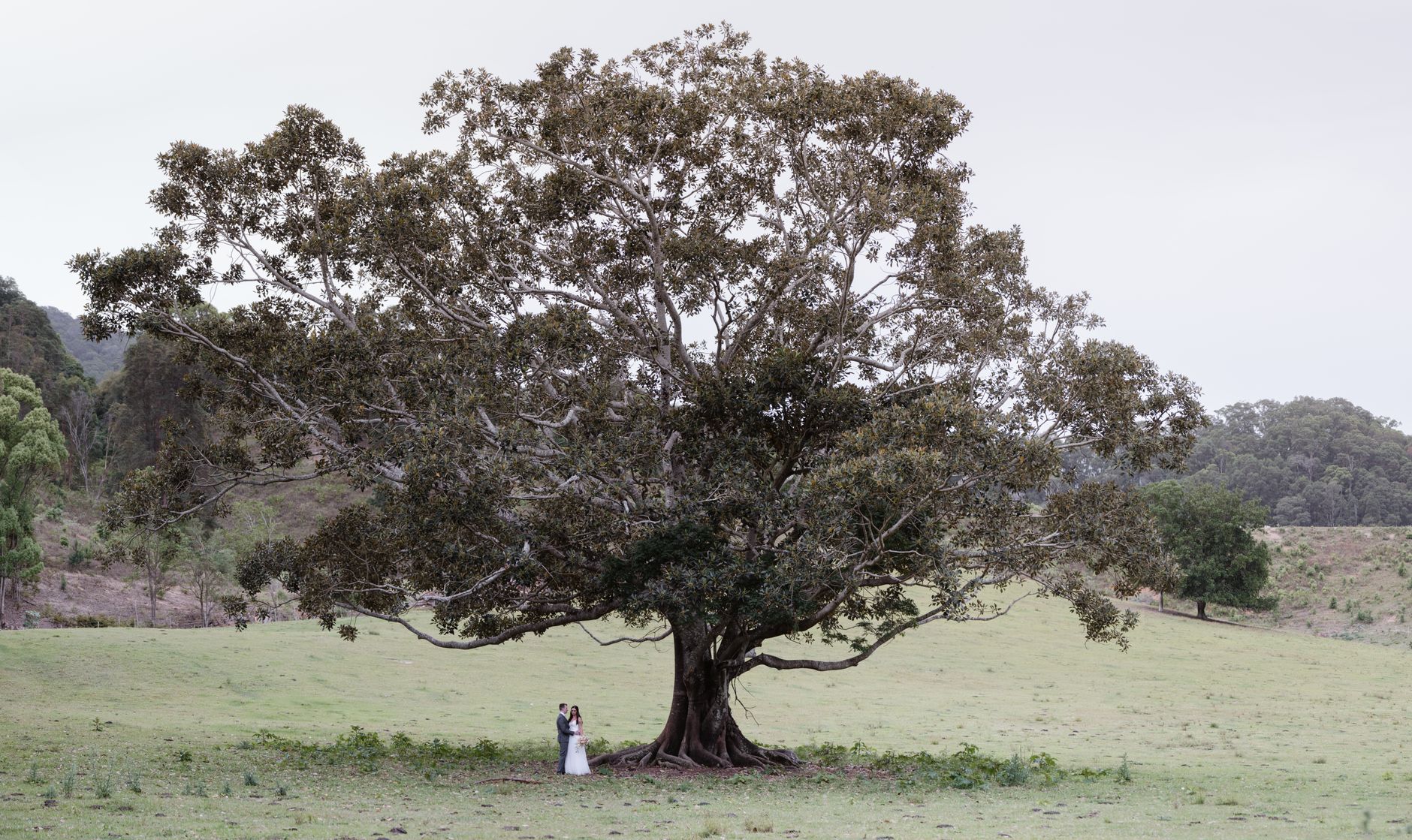 Wedding Videographer at Carmel Valley Ranch