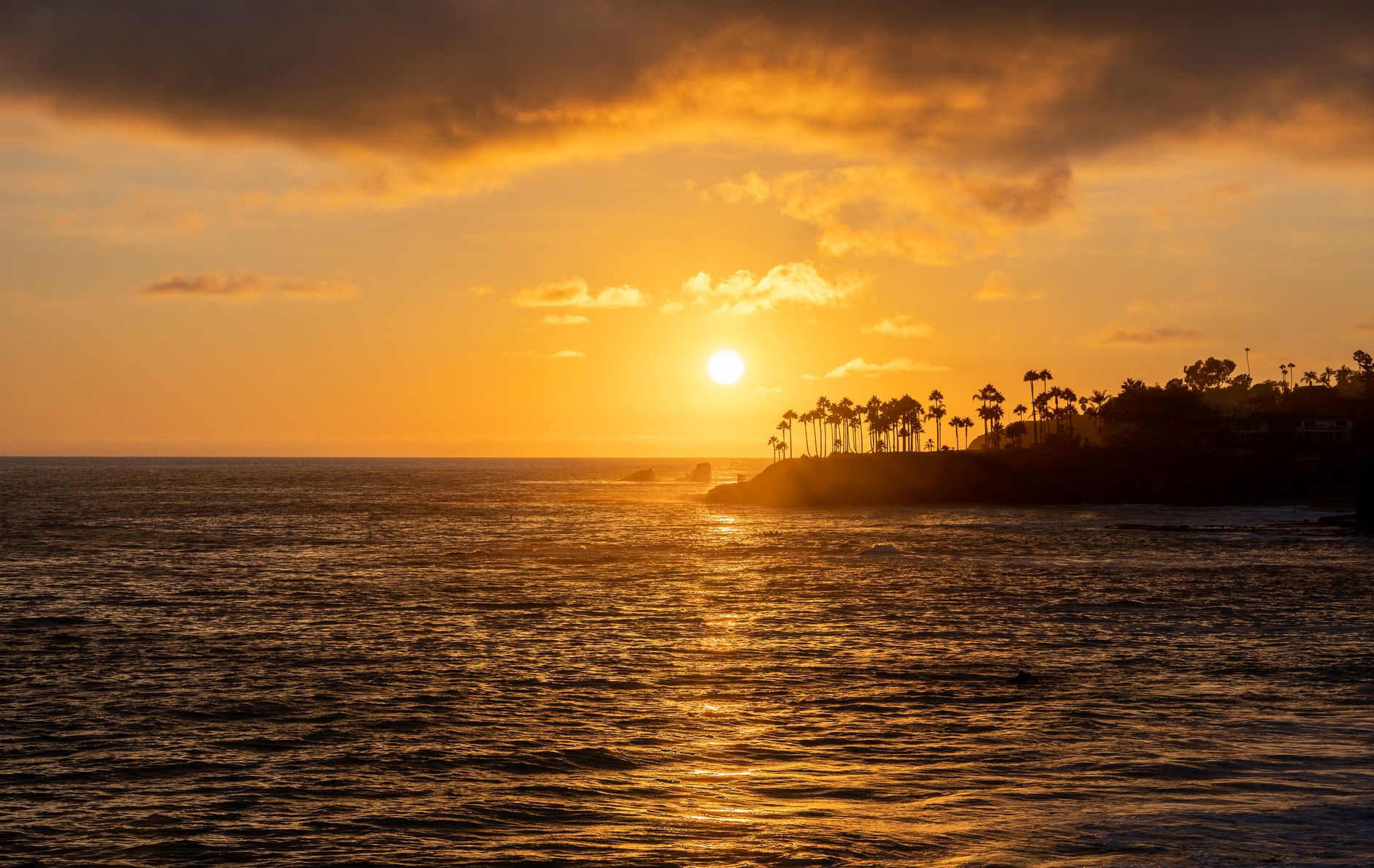 Serene sunset over the Pacific Ocean at Laguna Beach, highlighting palm silhouettes.