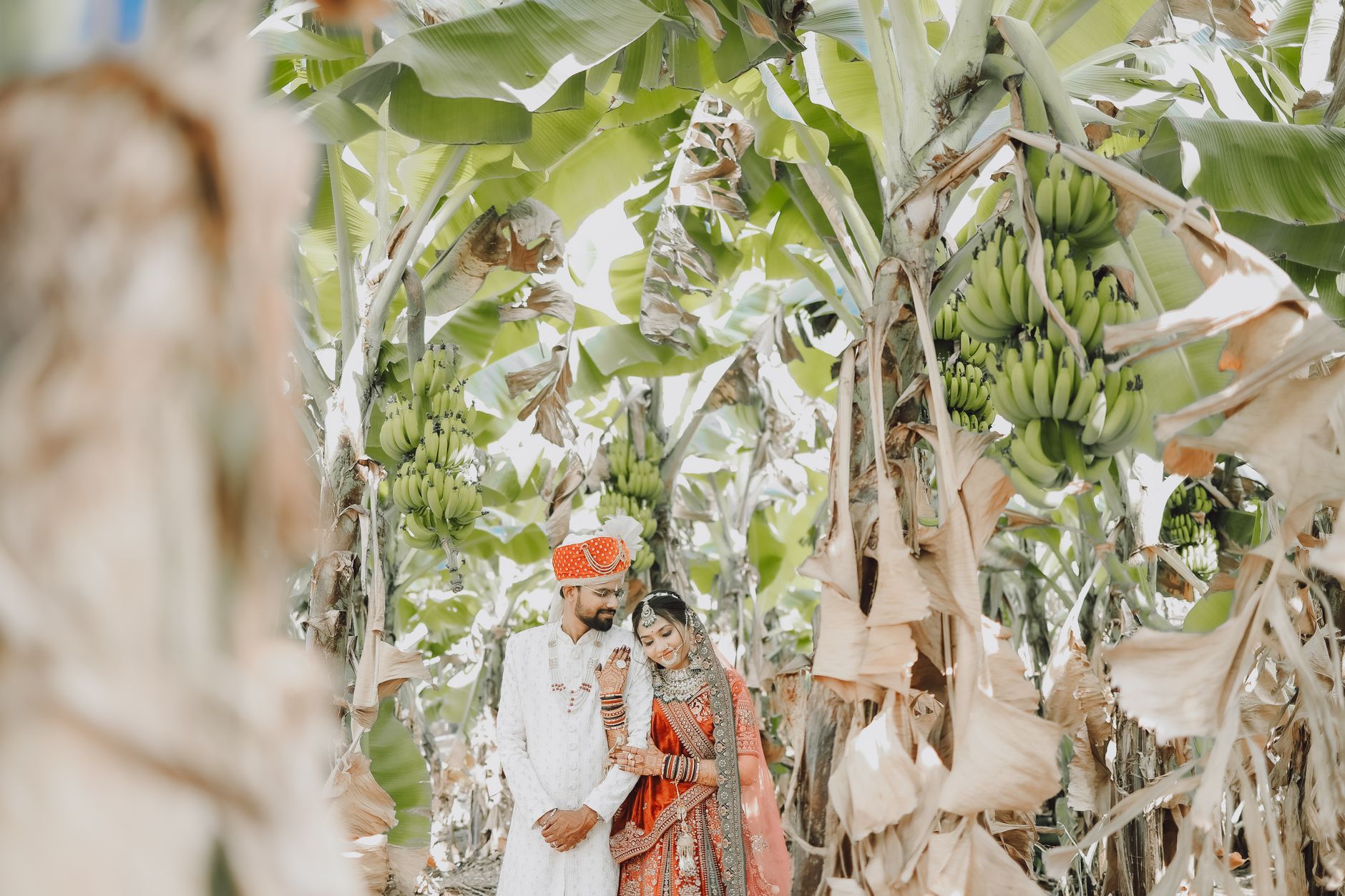 A newlywed Indian couple in vibrant traditional attire stands amidst a lush banana grove, embodying cultural elegance.