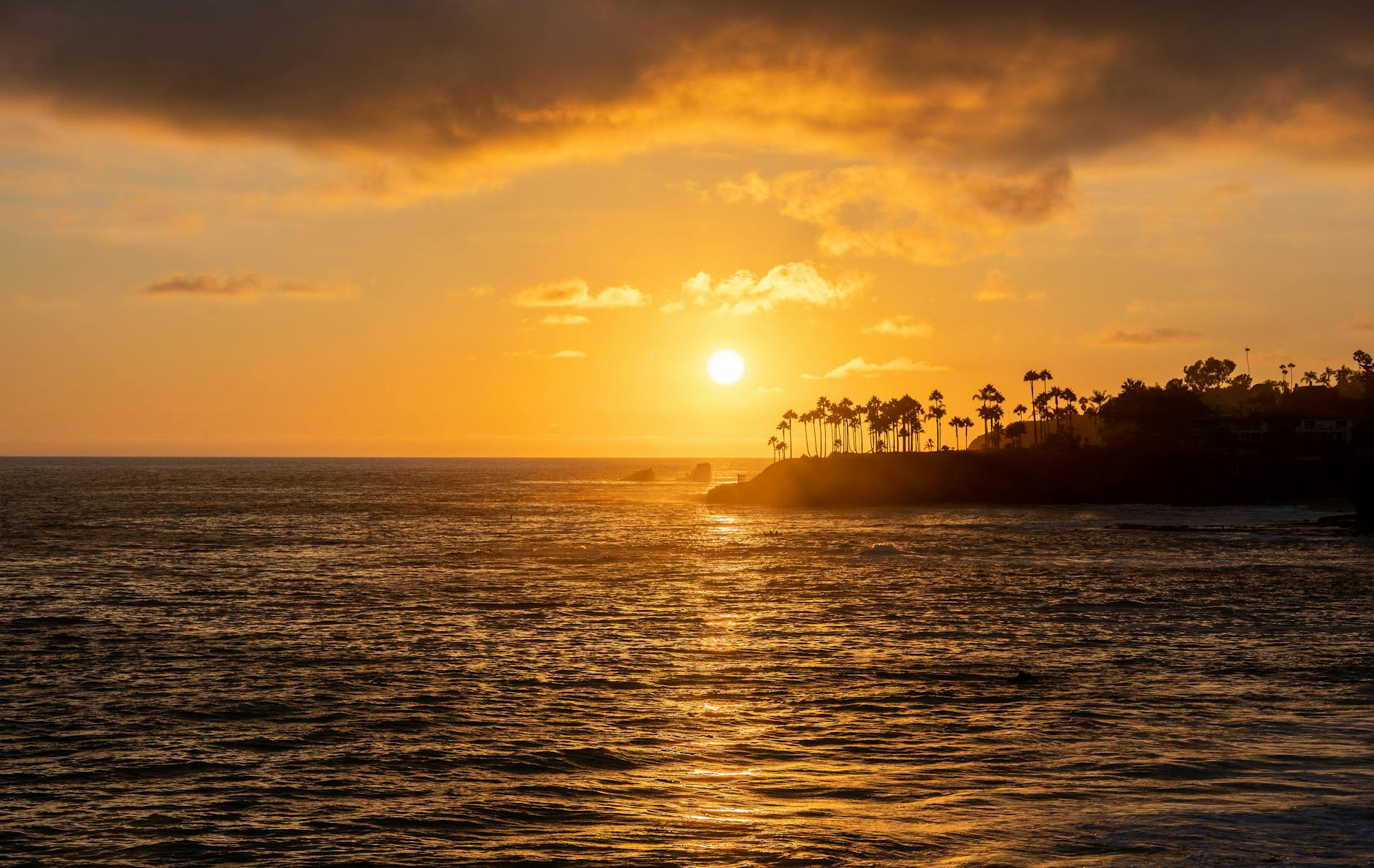 Serene sunset over the Pacific Ocean at Laguna Beach, highlighting palm silhouettes.