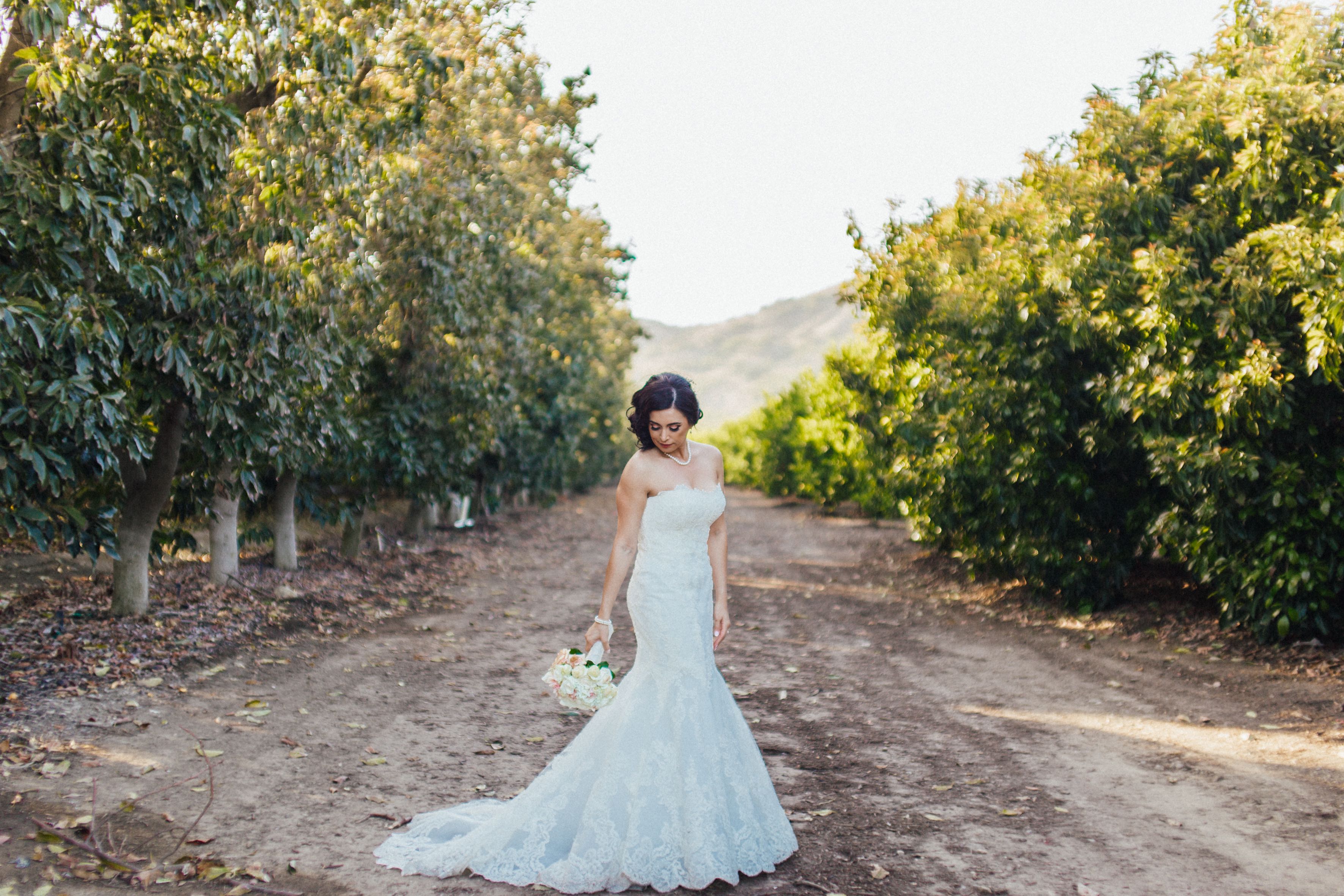 Limoneira Ranch Wedding Cummings Road Santa Paula Ca