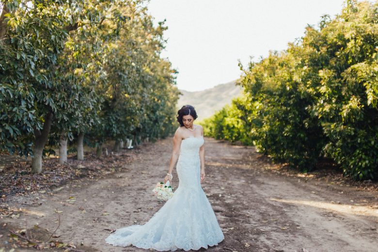 Wedding Photography Timeline